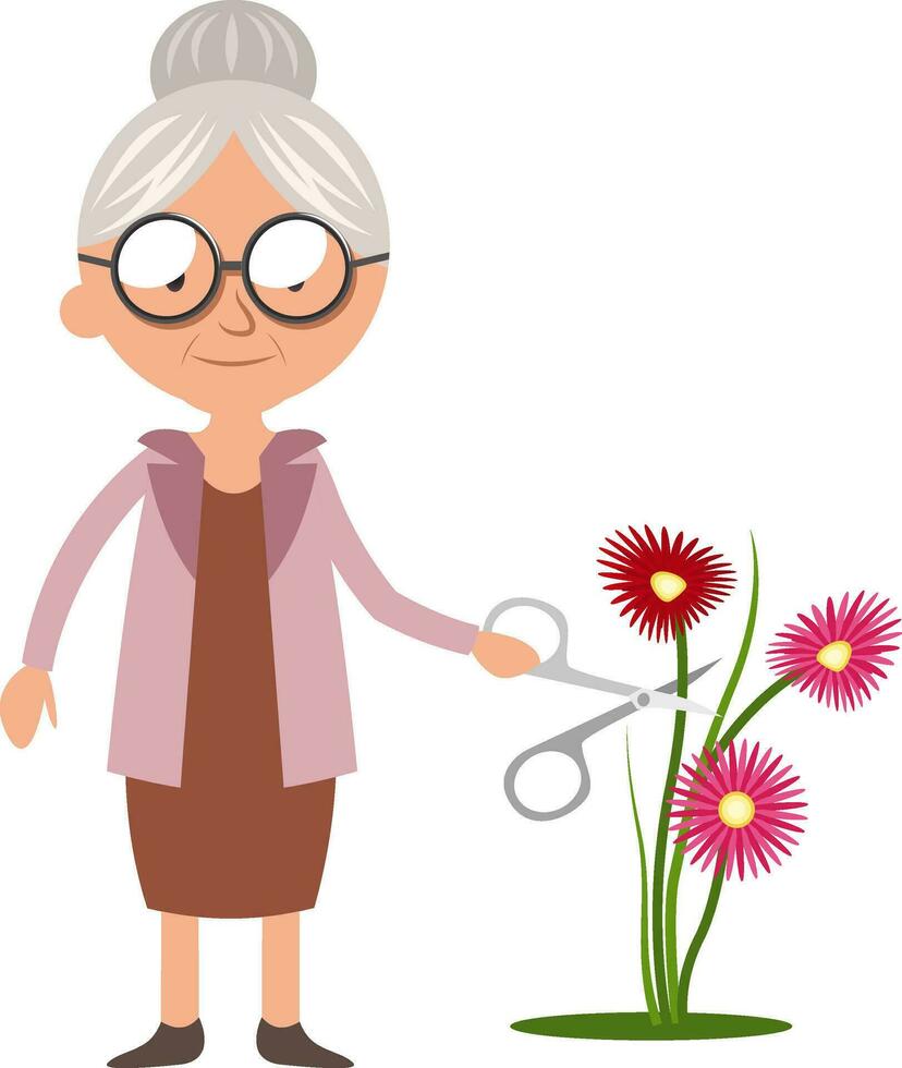 Granny cortando flores, ilustración, vector sobre fondo blanco.