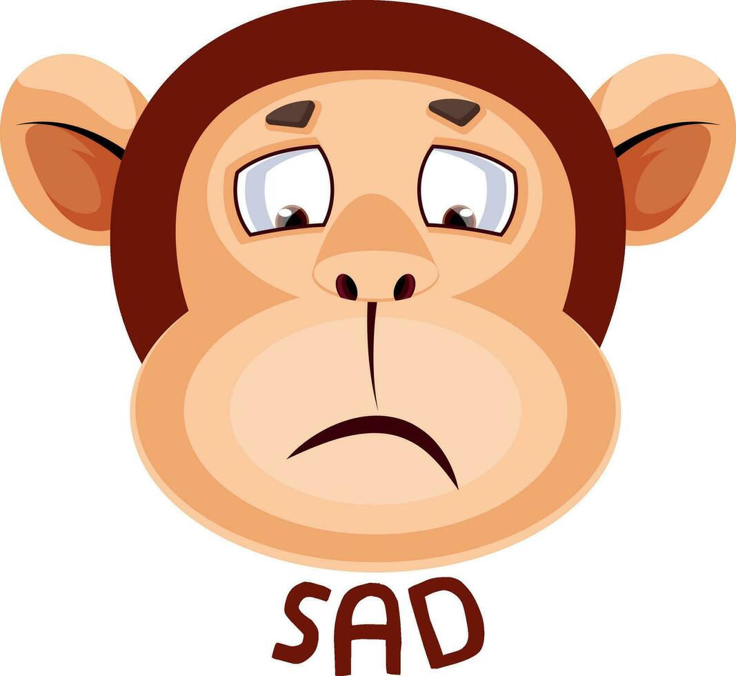 Monkey is sad, illustration, vector on white background.