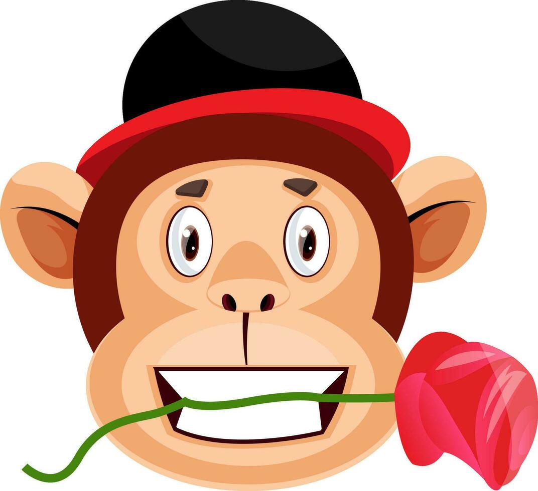 Monkey is holding rose in his mouth, illustration, vector on white background.