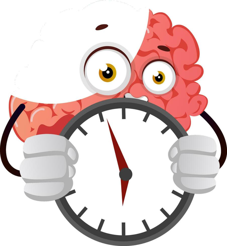 Brain holding a clock, illustration, vector on white background.