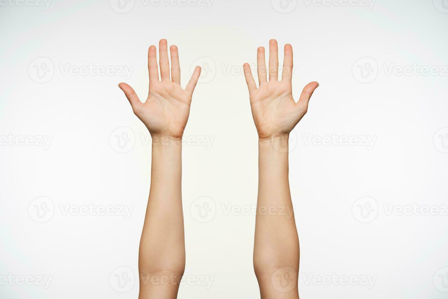 Young pretty fair-skinned female raised hands while isolated over white background, showing her palms to camera and keeping all fingers separetely photo