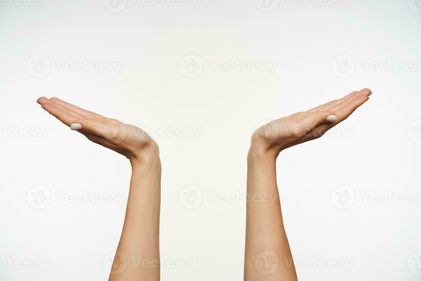 Closeup of pretty raised hands of young female with white manicure against white background, keeping palms raised up. Human body language and gesturing photo