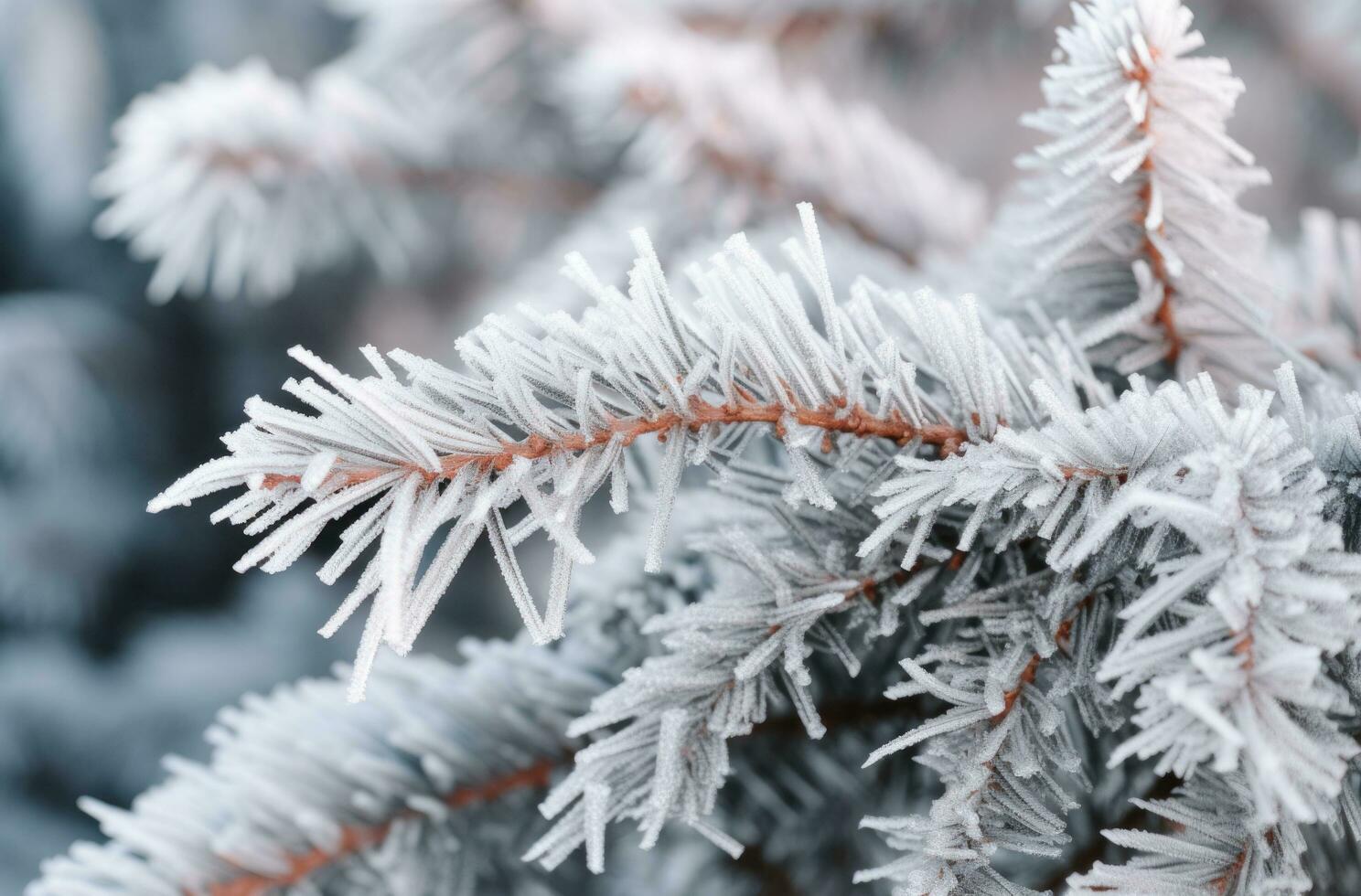 AI generated pine branches with freezing and frosty leaves photo