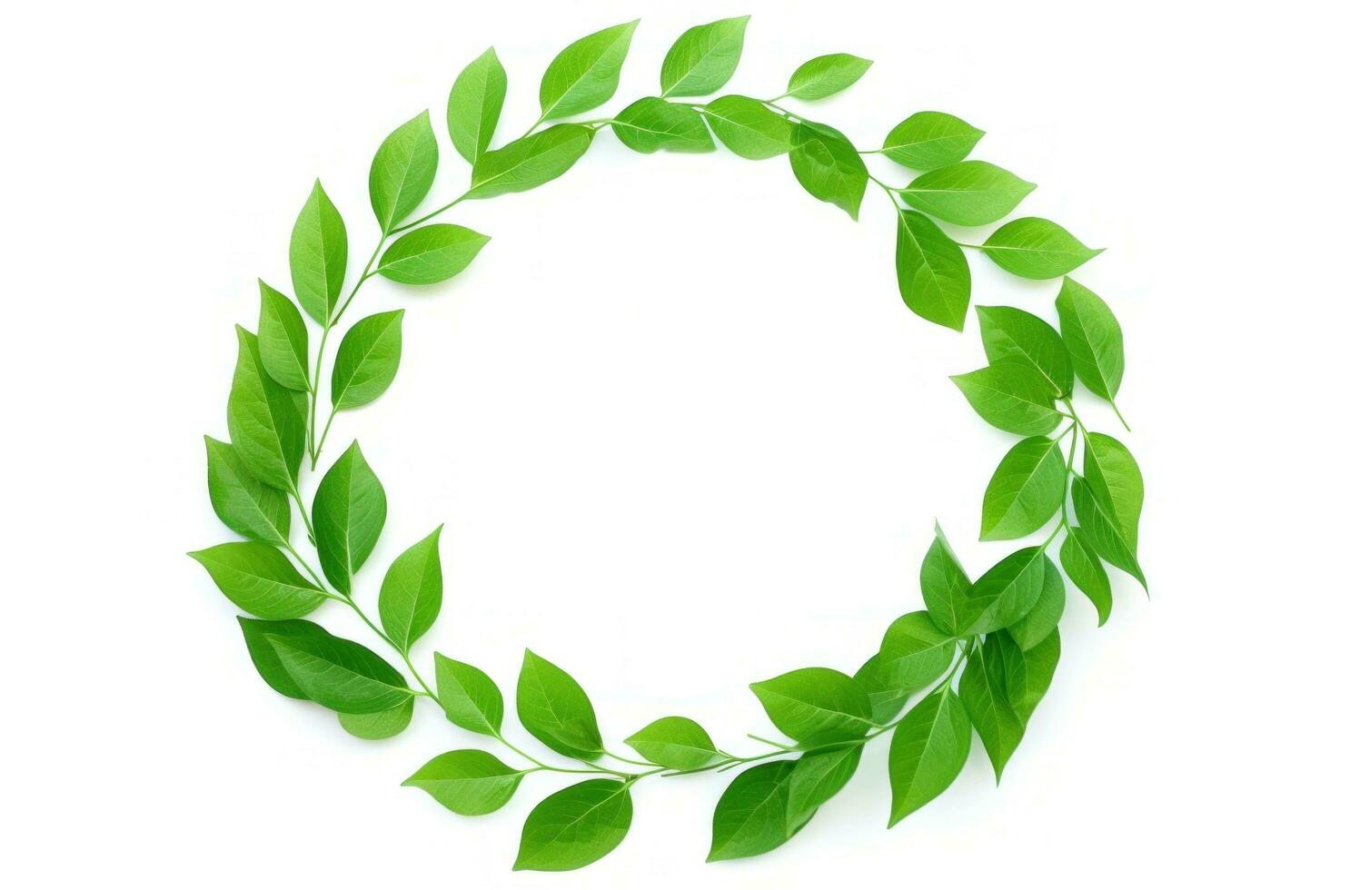 AI generated circular arrangement of leaves on white background green leaves photo