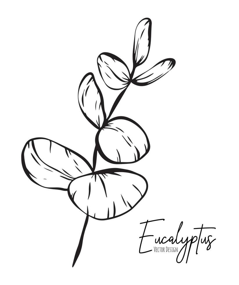 Botanical elegant line illustration of a eucalyptus leaves branch for wedding invitation and cards, logo design, web, social media and poster, template, advertisement, beauty and cosmetic industry. vector