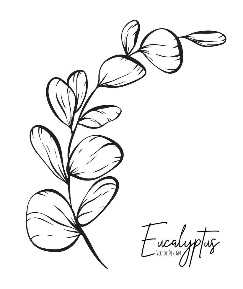 Botanical elegant line illustration of a eucalyptus leaves branch for wedding invitation and cards, logo design, web, social media and poster, template, advertisement, beauty and cosmetic industry. vector