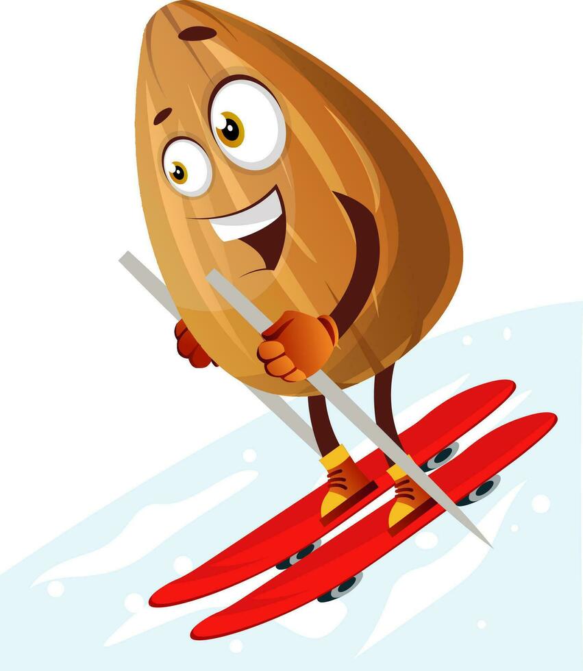 Happy almond skiing on red skis, illustration, vector on white background.