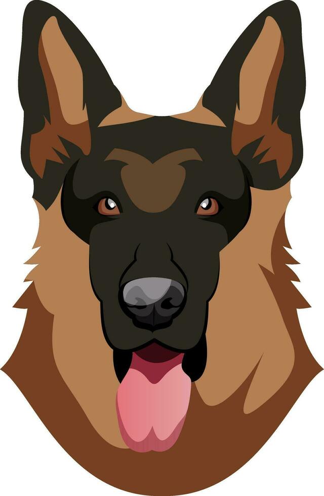 German Shepherd illustration vector on white background