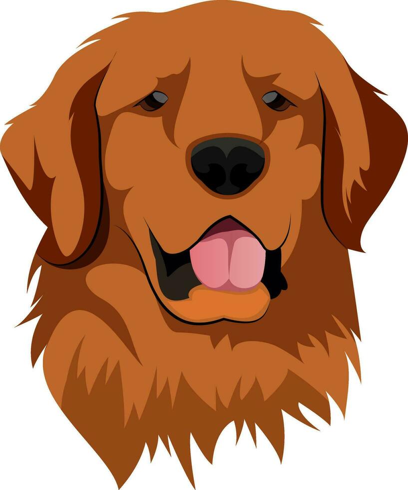 Golden Retriever illustration vector on white background
