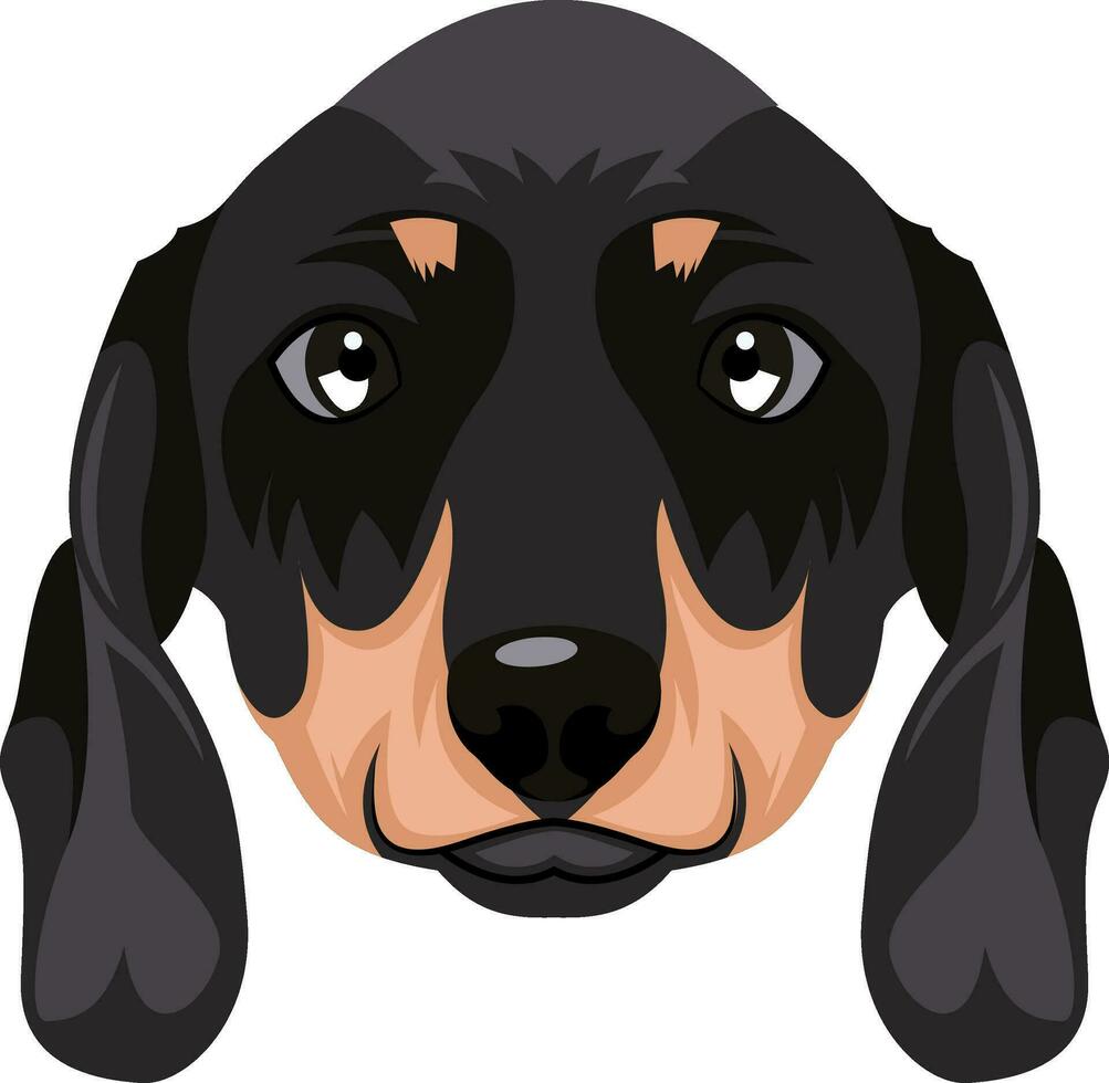 Dachshund illustration vector on white background