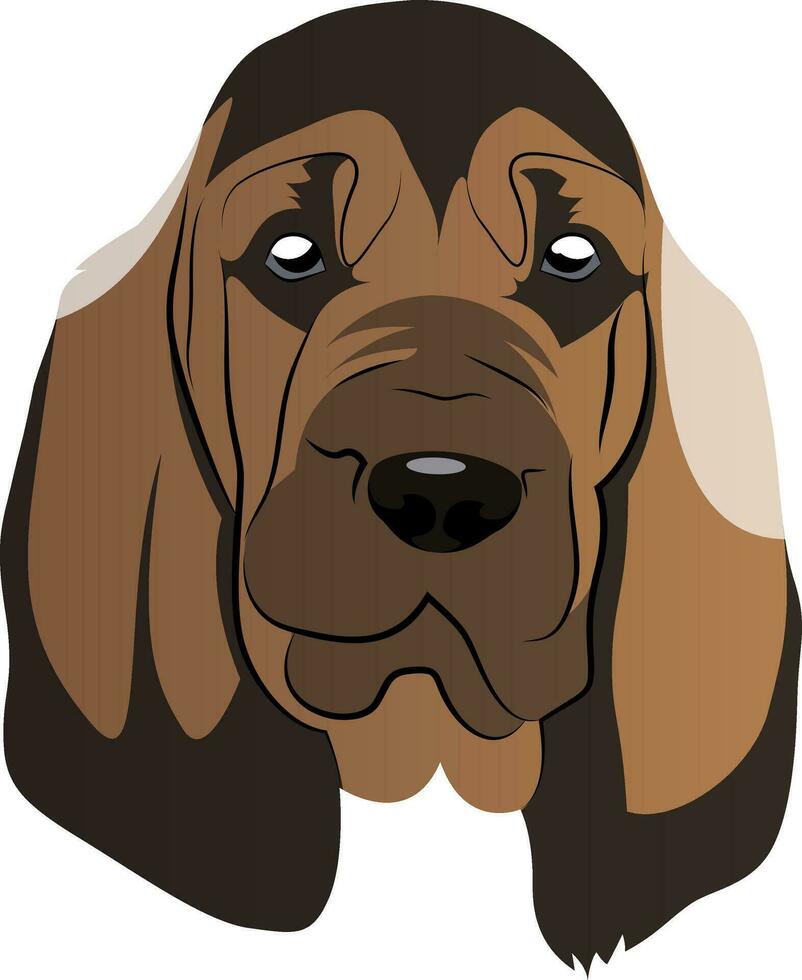 Brown Blood Hound illustration vector on white background