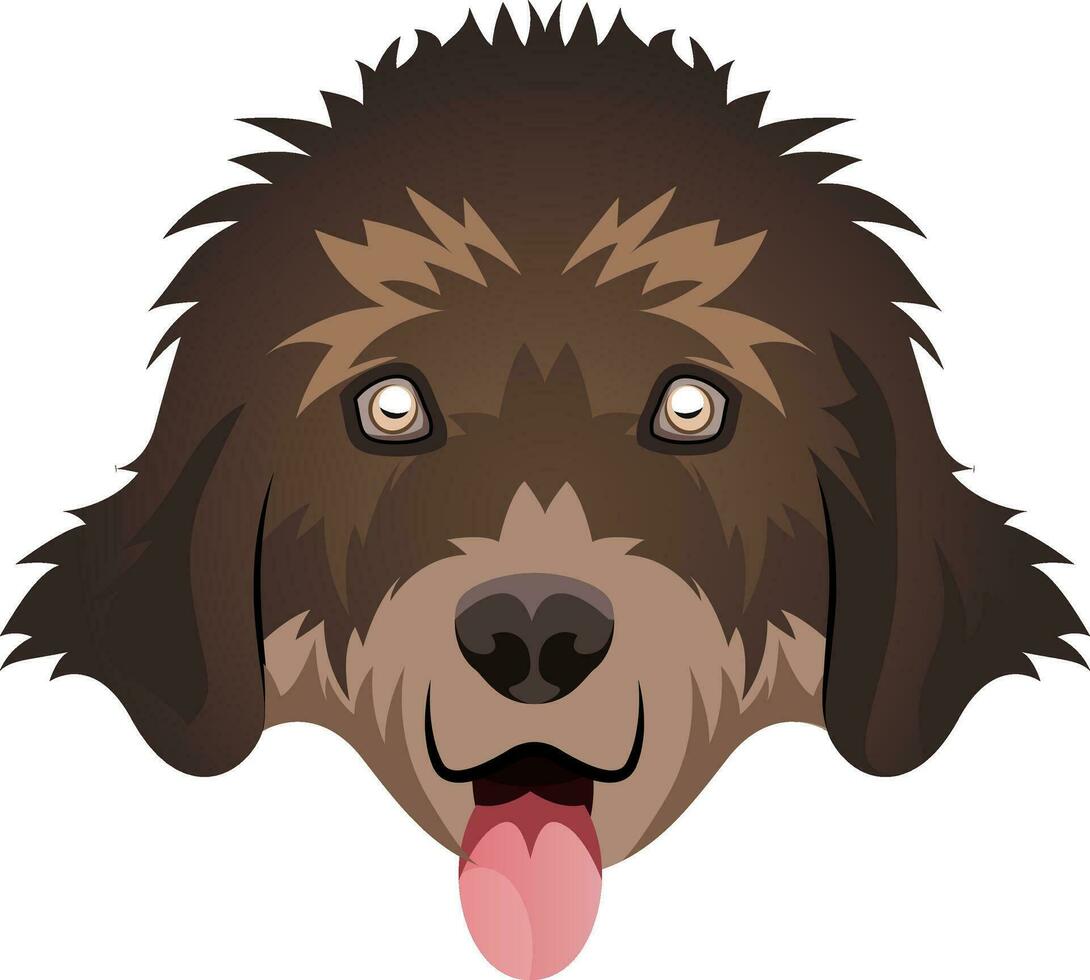 New Found Land illustration vector on white background
