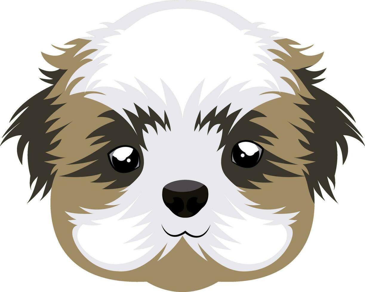 Shih Tzu illustration vector on white background