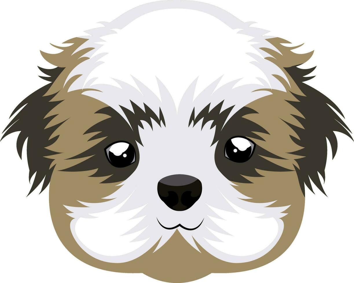 shih tzu ilustración vector en blanco antecedentes