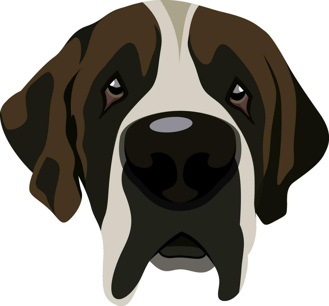 Saint Bernard illustration vector on white background