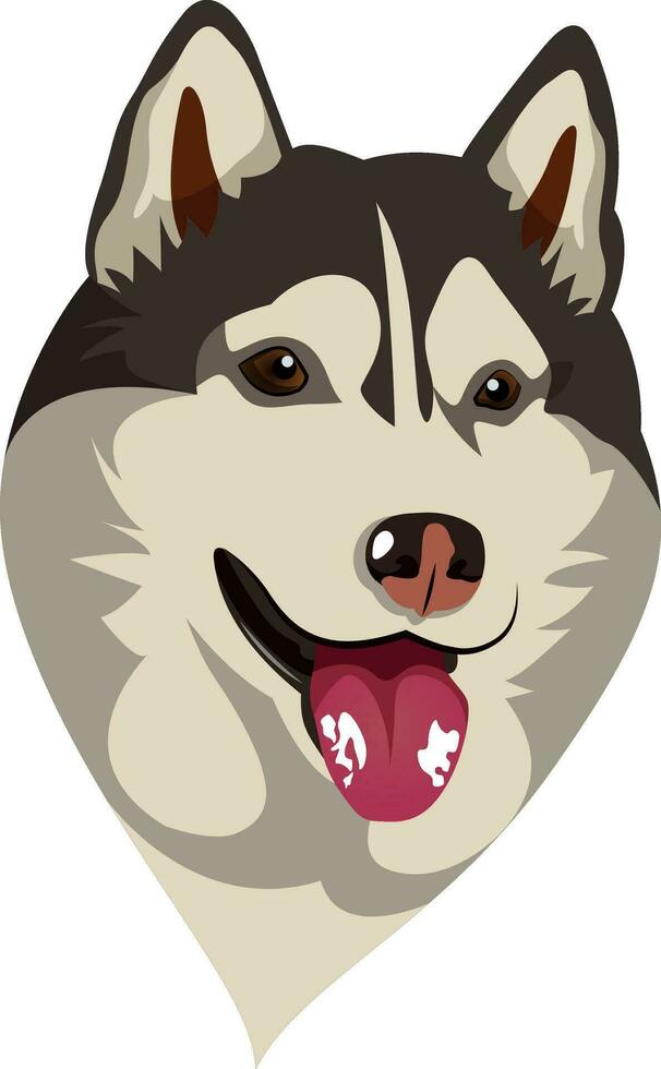 Husky illustration vector on white background