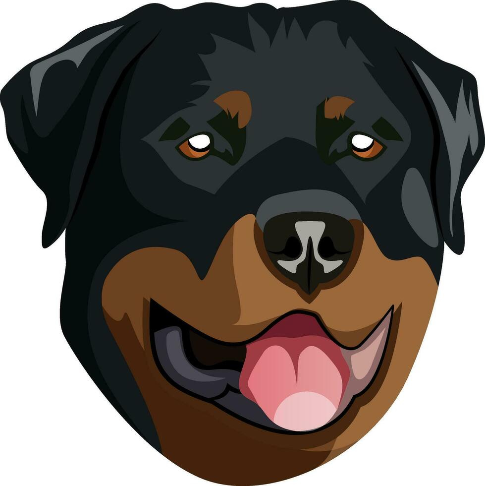 Rottweiler illustration vector on white background