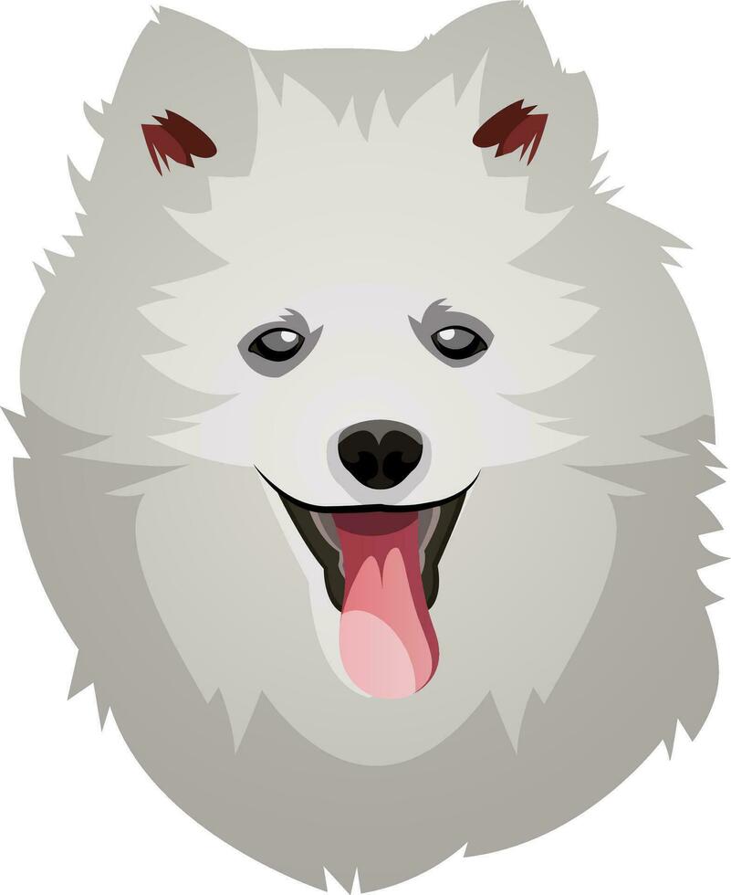 pomeranio ilustración vector en blanco antecedentes