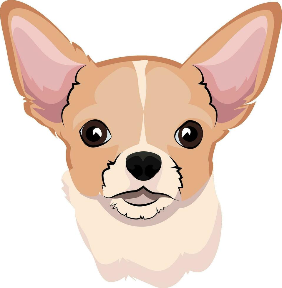 Chihuahua illustration vector on white background