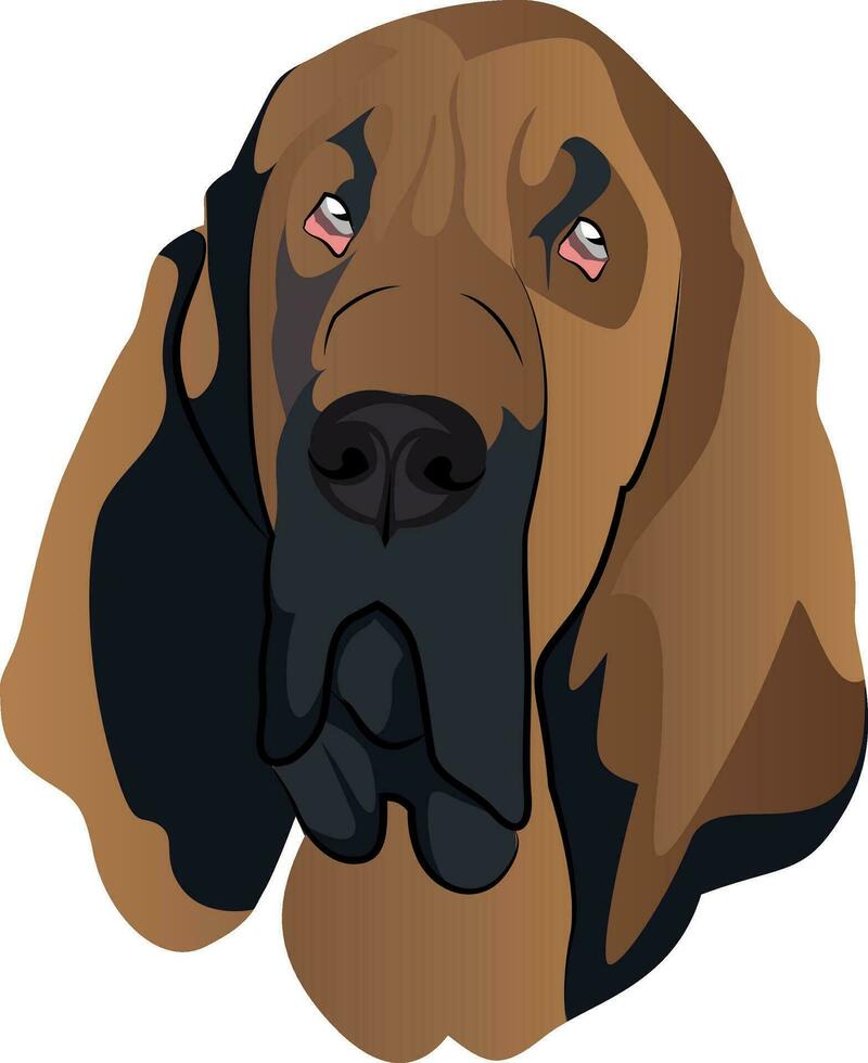 Blood Hound illustration vector on white background