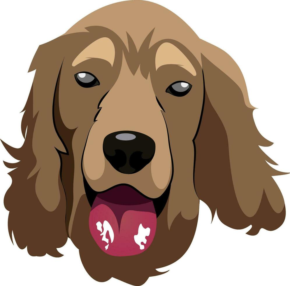 cocker spaniel ilustración vector en blanco antecedentes