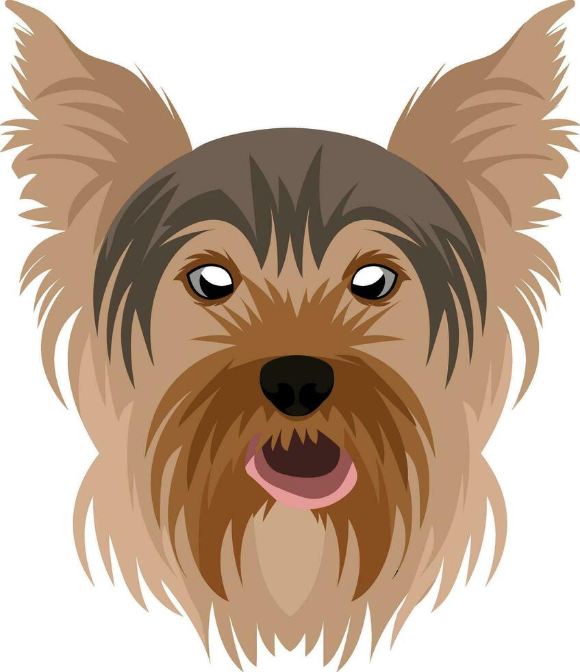 Yorkshire terrier ilustración vector en blanco antecedentes