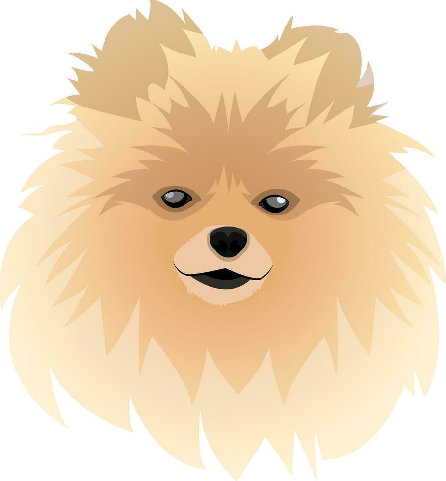 perro de Pomerania ilustración vector en blanco antecedentes