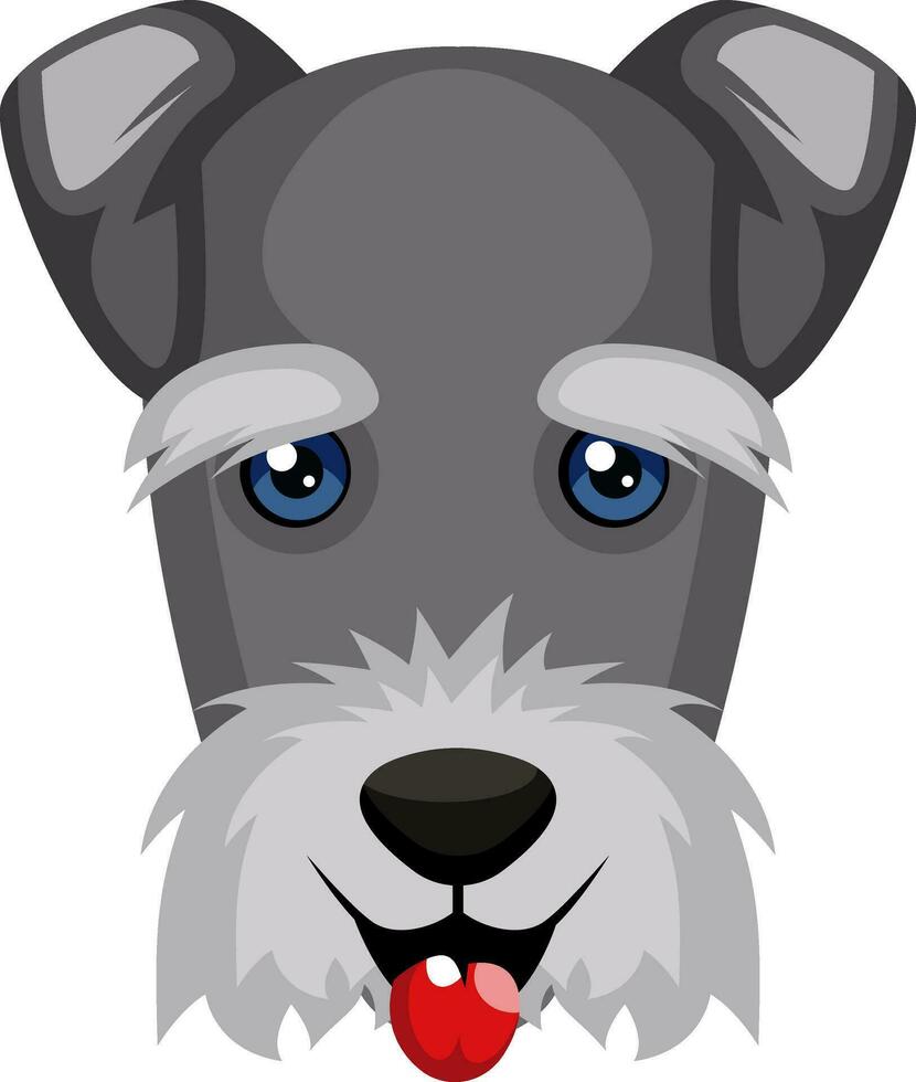 Schnauzer illustration vector on white background