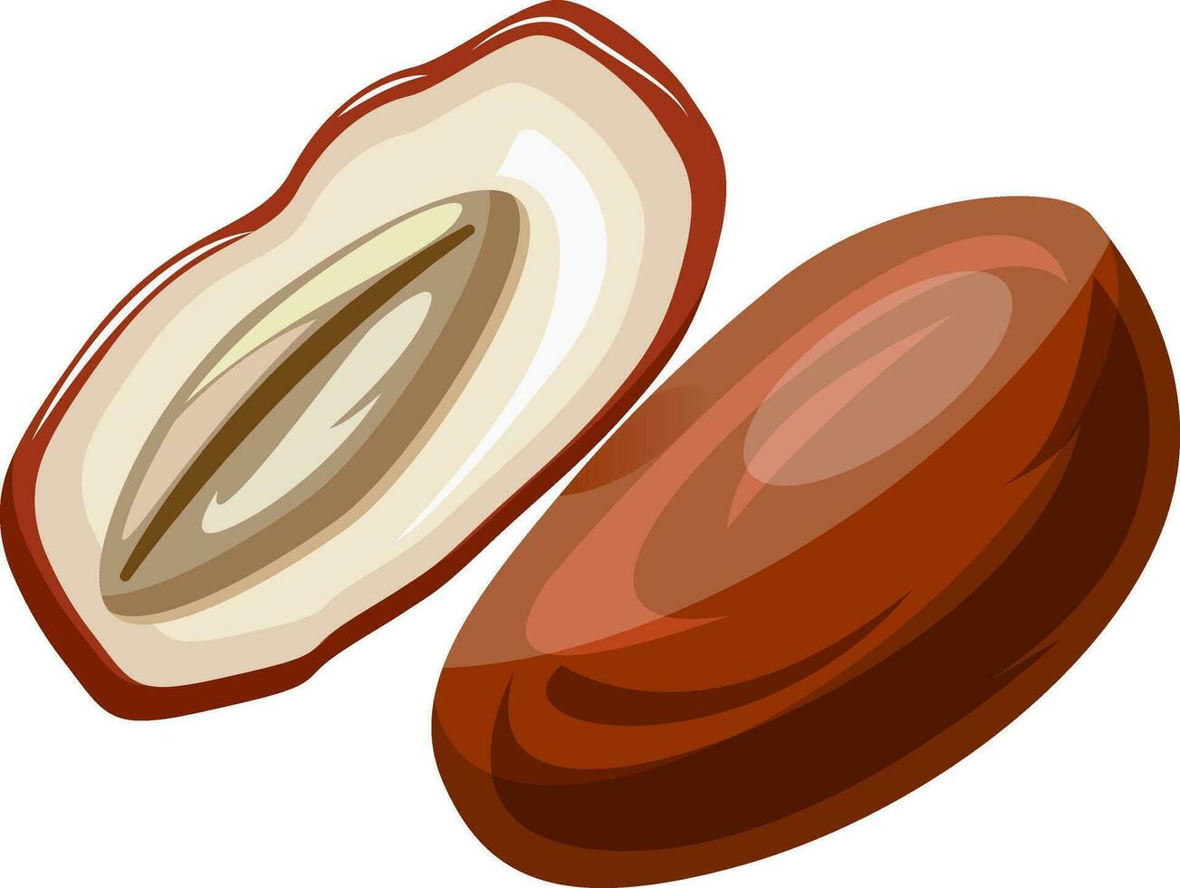 Brown and white raw date  cut in half cartoon fruit vector illustration on white background.