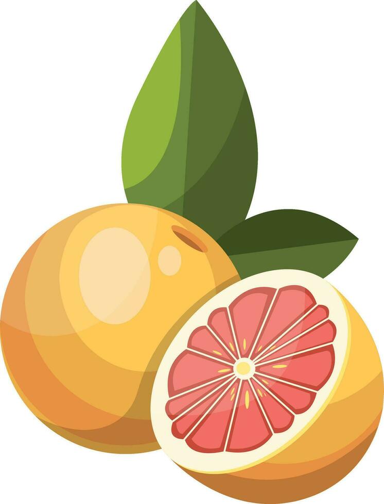 Cartoon of yellow grapefruit cut in half vector illustration on white background.