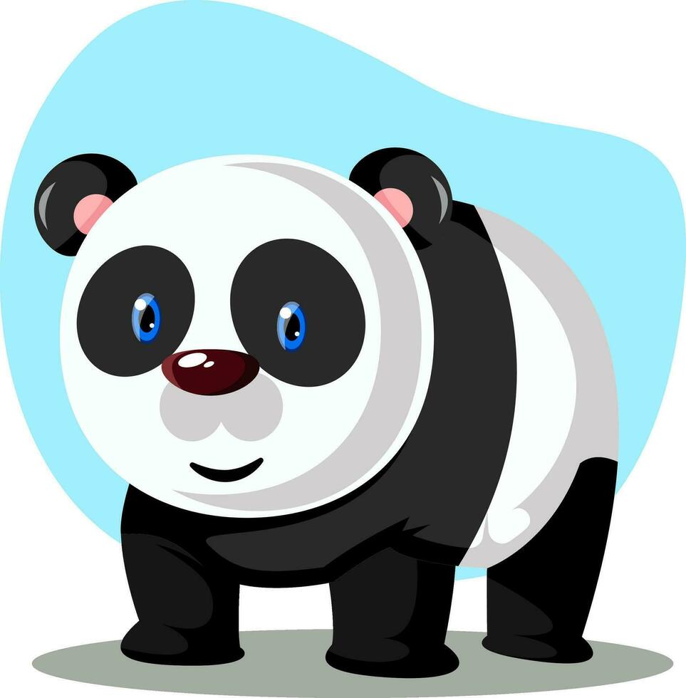 Big panda with blue eyes, illustration, vector on white background.