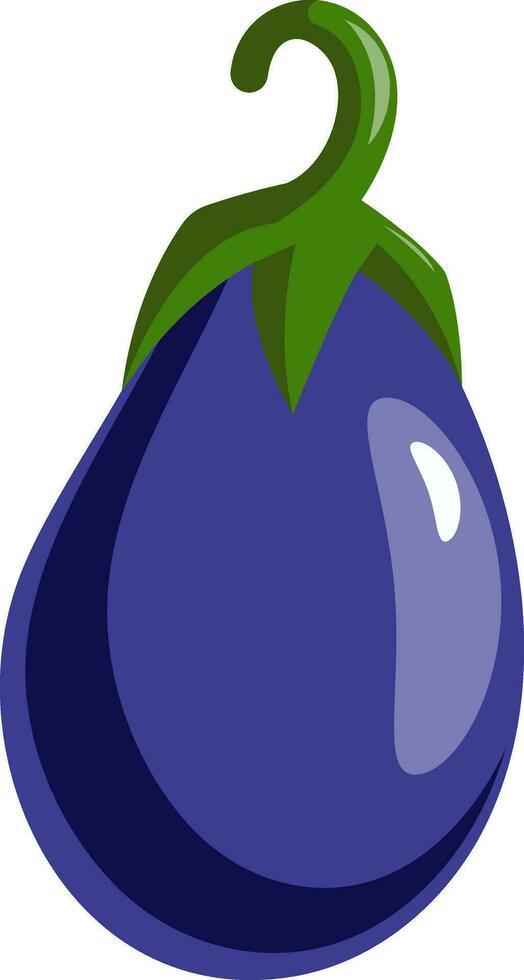 Purple fresh eggplant, illustration, vector on white background.