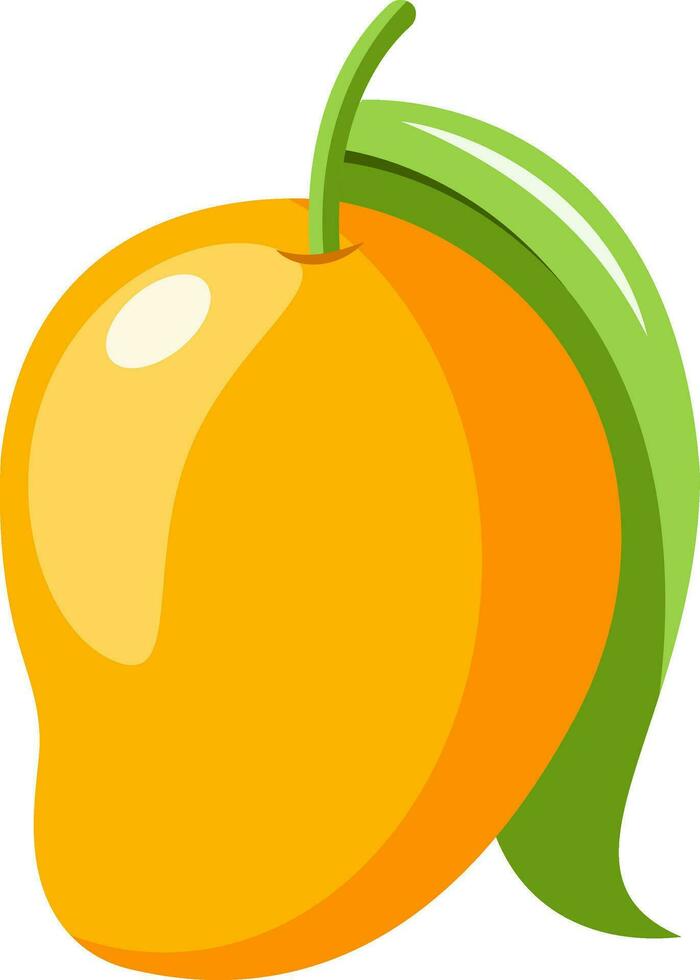 Fresco amarillo mango, ilustración, vector en blanco antecedentes.