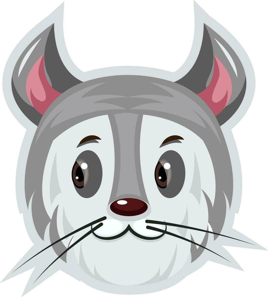 Silver bobcat, illustration, vector on white background.