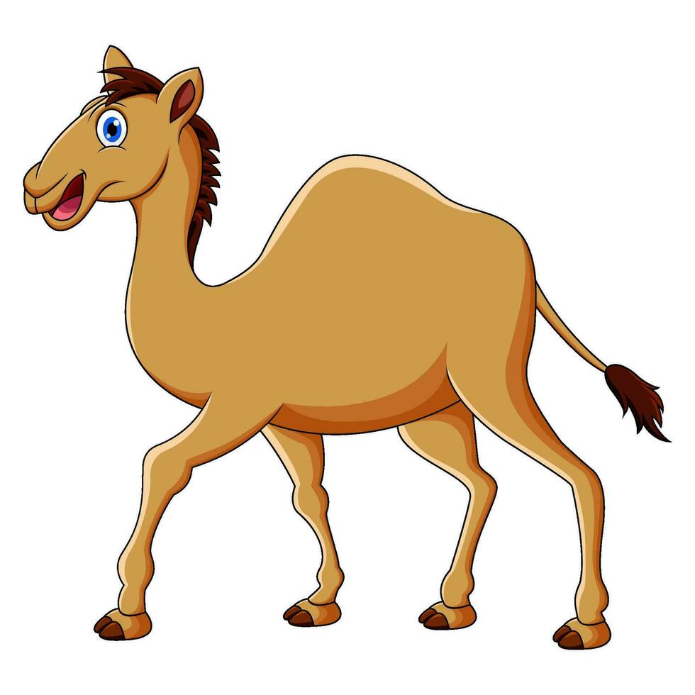 Cute camel cartoon design illustration vector