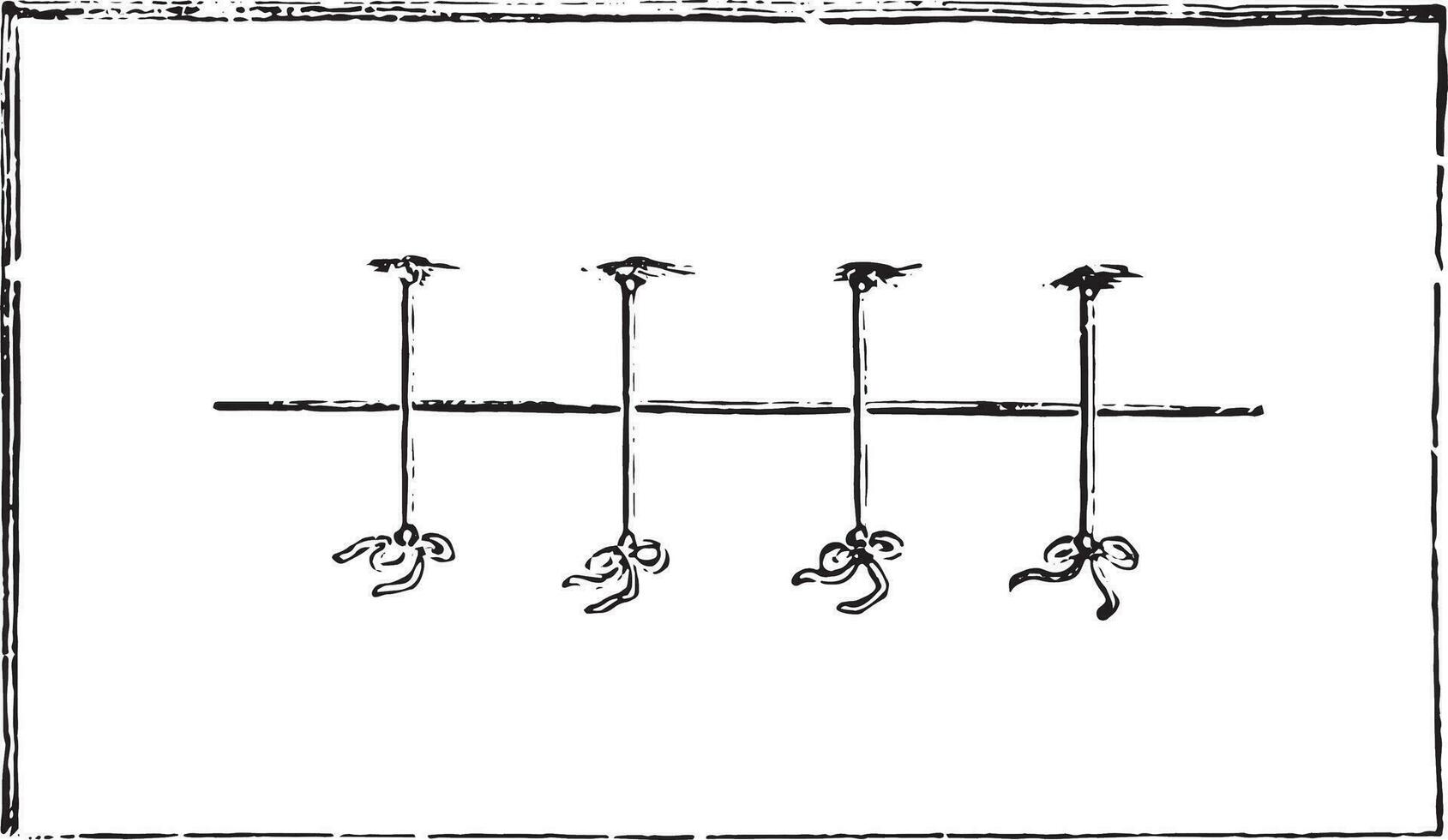 Suture separated points, vintage engraving. vector