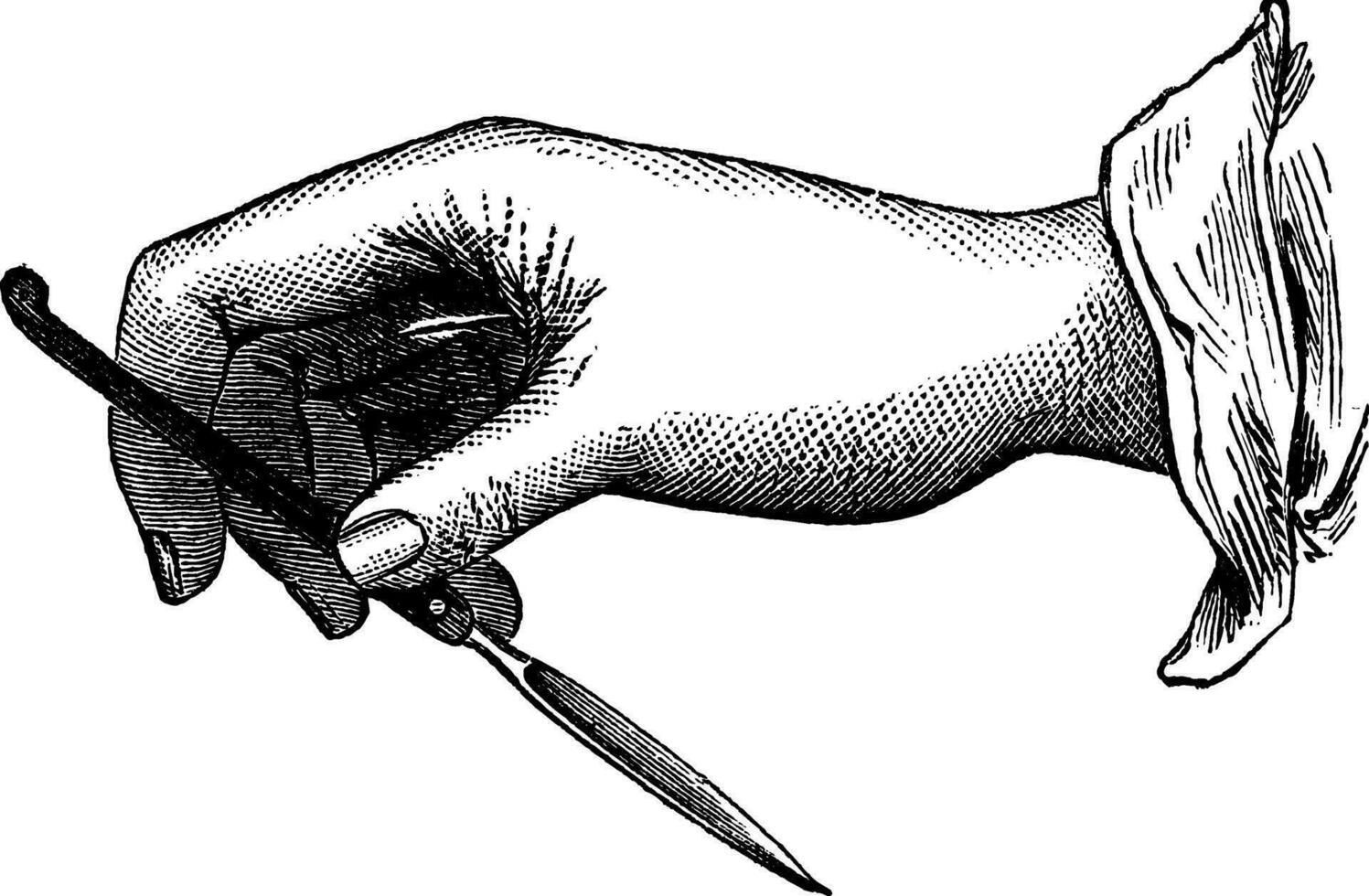 Position of the knife in the single-incision from within outwards, made against us without a driver, vintage engraving. vector