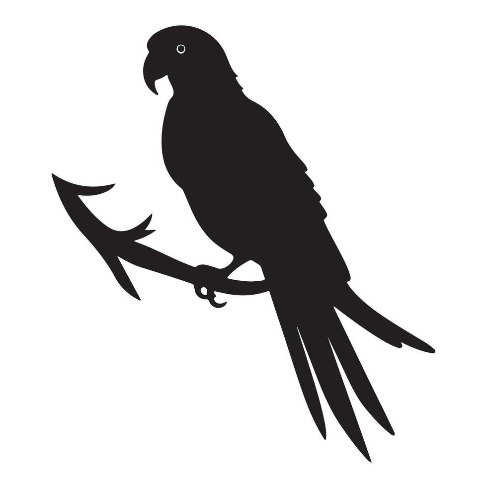 A black Silhouette parrot animal vactor vector