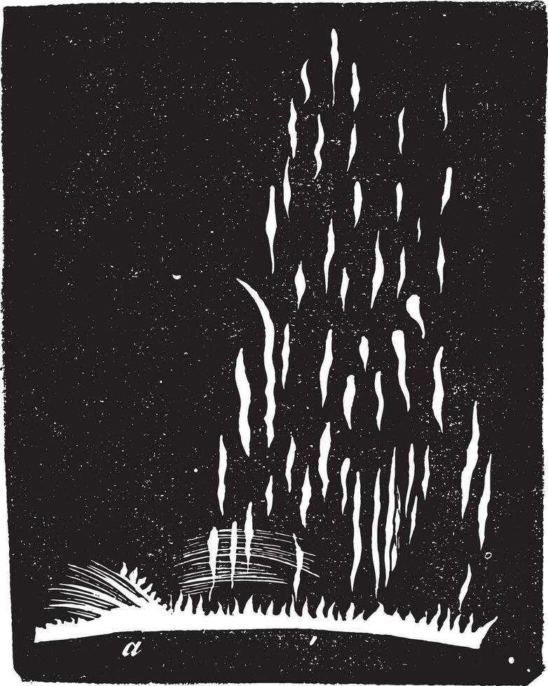 Solar explosion, vintage engraving. vector