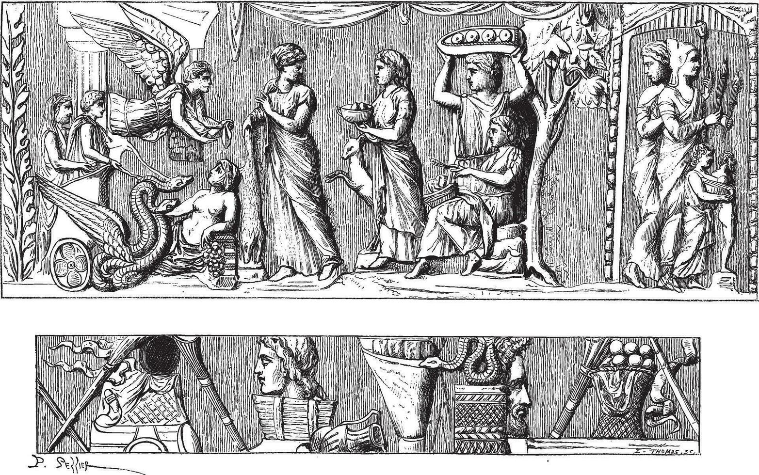 Development of Vase of Mantua, vintage engraving. vector