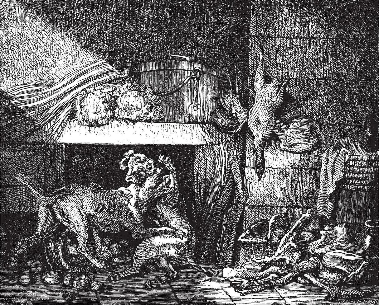 Museum of Vienna. Quarrel of dogs, sketch by Oudry, vintage engraving. vector