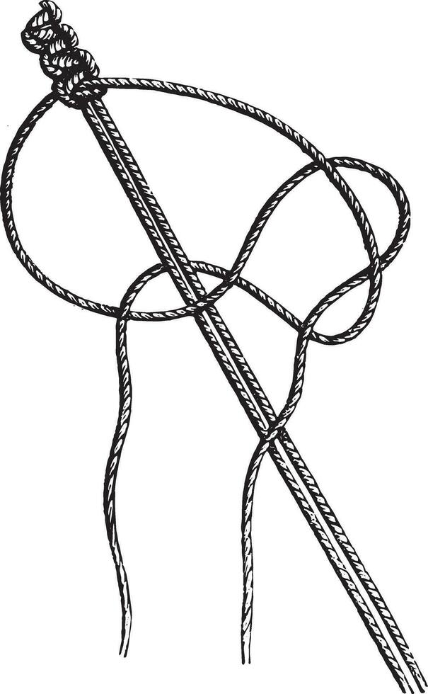 Detail of the intercrossing of son, vintage engraving. vector