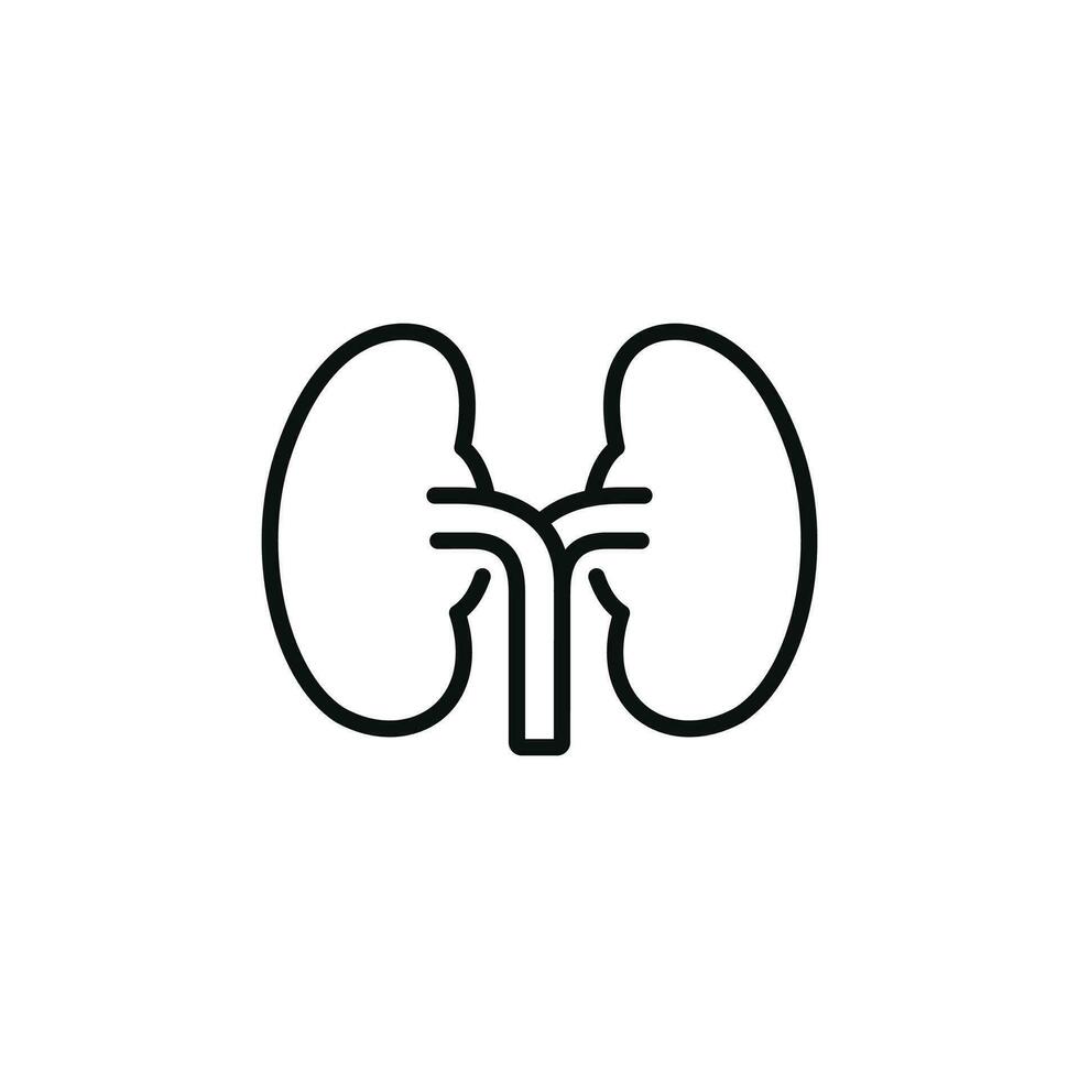 Kidney line icon isolated on white background vector