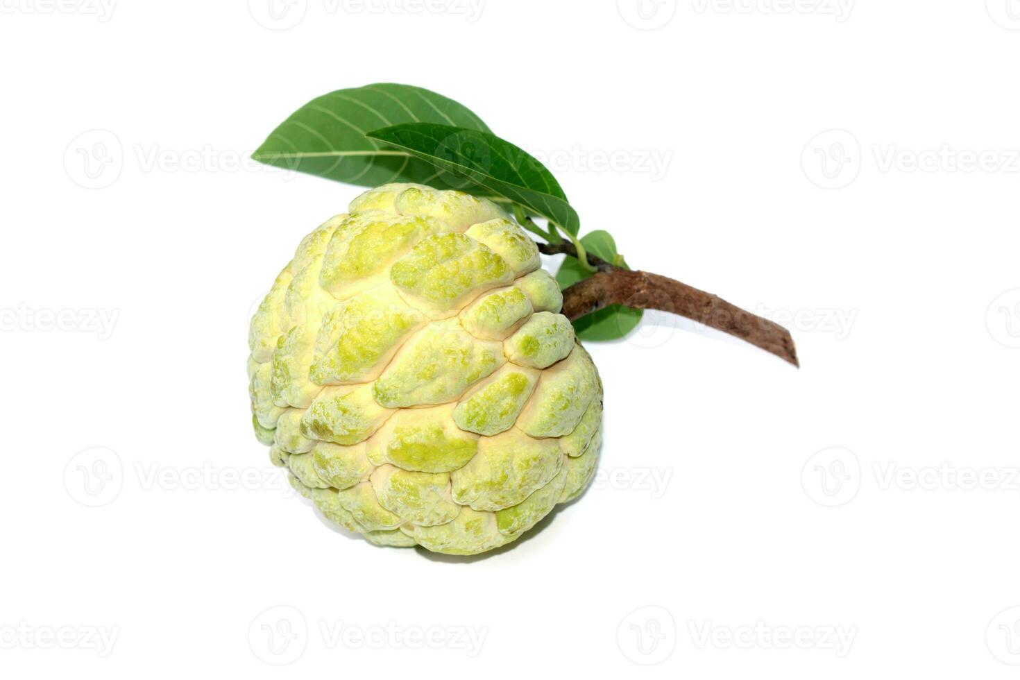 Sugar apple fruit on white background. photo