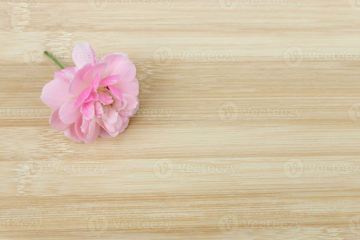 The pink fairy rose flower on the bamboo wood. photo