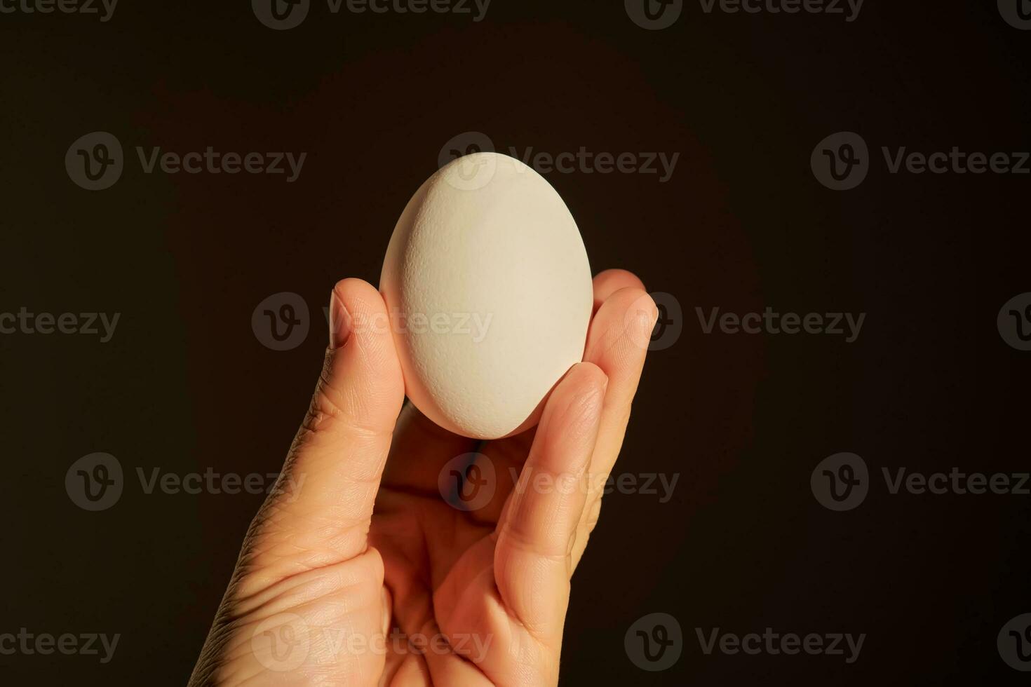 White chicken egg in a woman's hand. photo