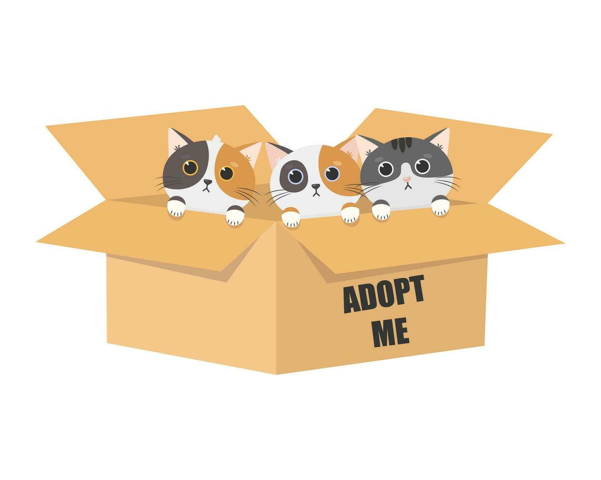 International Homeless Animals Day. Cute cartoon cats in a cardboard box with the words Adopt me. Vector illustration isolated on white background.