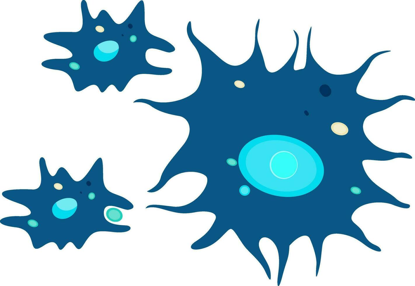 Blue amoeba vector illustration on white background.