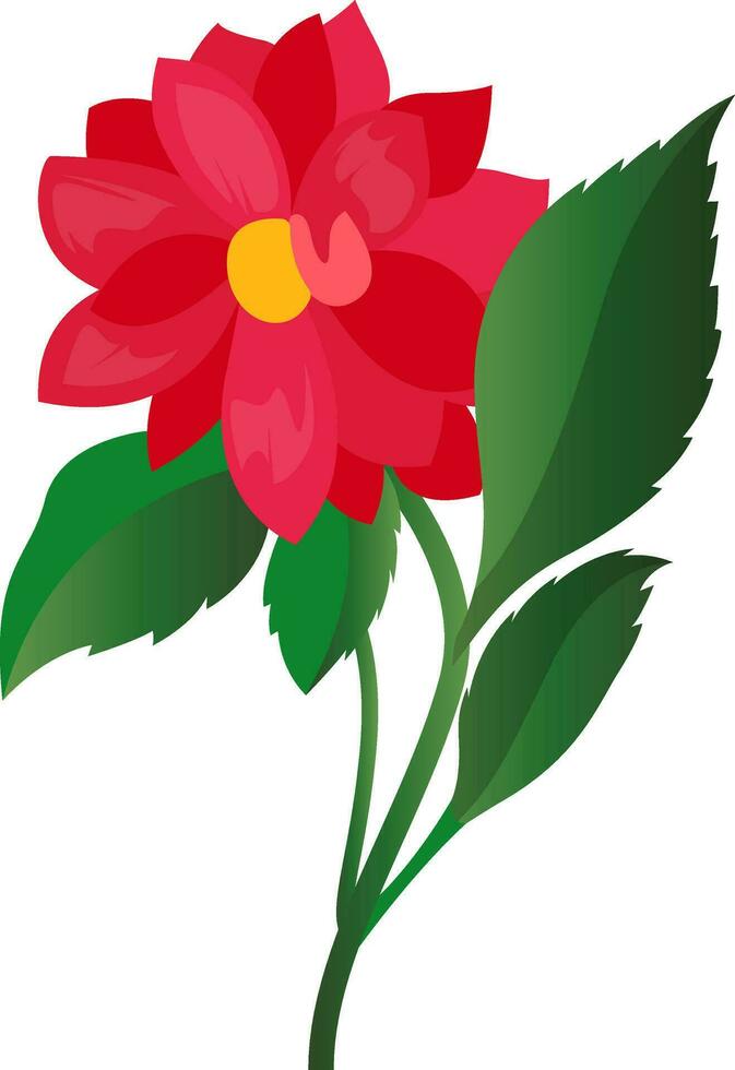 Vector illustration of bright pink dahlia flower with green leafs on white background.