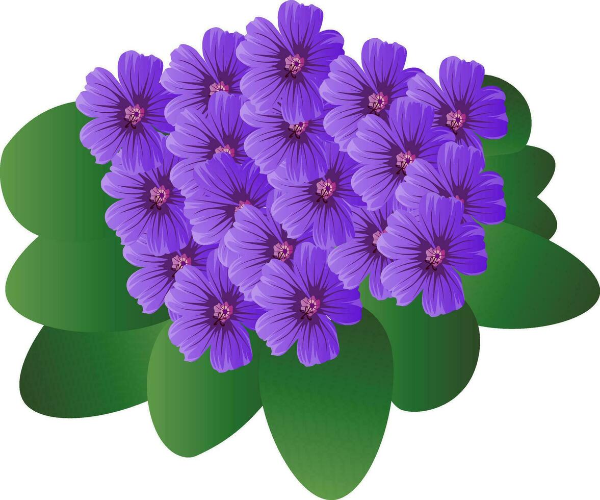 Vector illustration of purple violet flowers with green leafs  on white background.